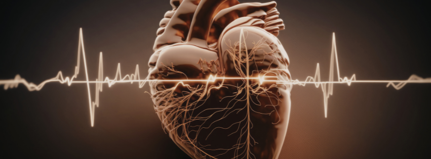 Symboldbild für Herzrasen ohne Befund